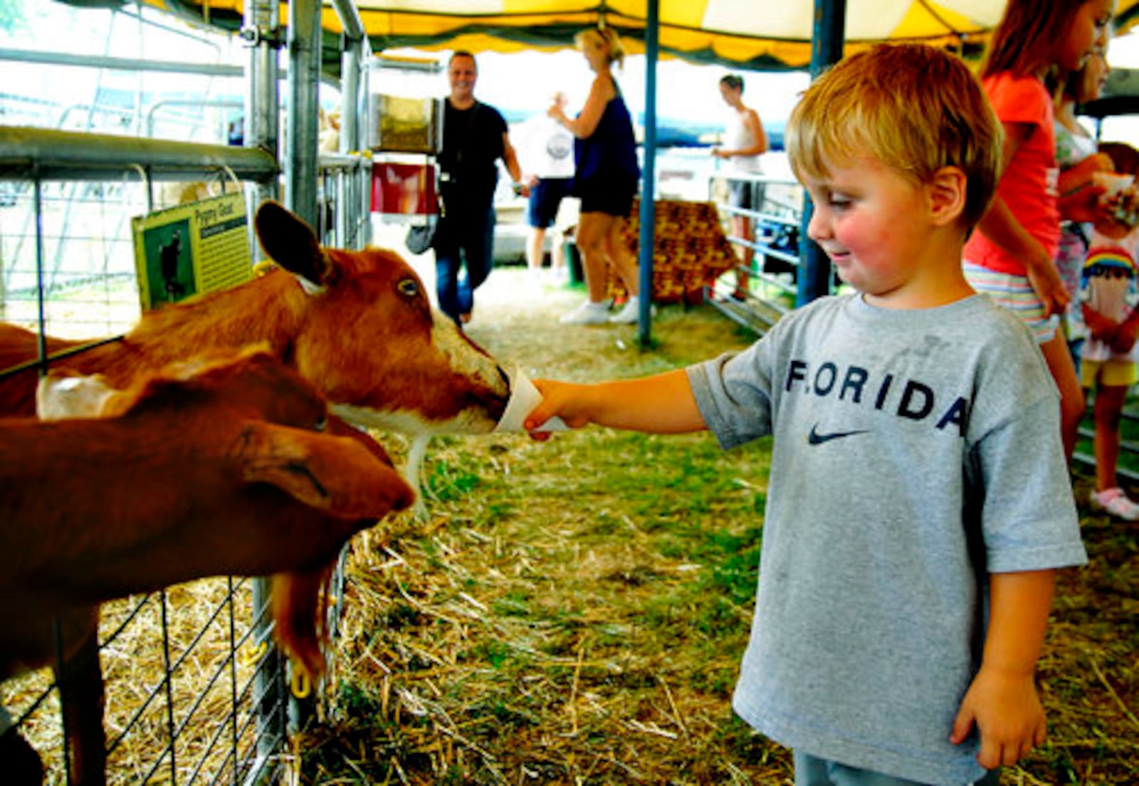 Rides, food, games and animals add up to a day of fun at the Preble Co. Fair in Eaton on Wednesday, Aug. 3, 2011.