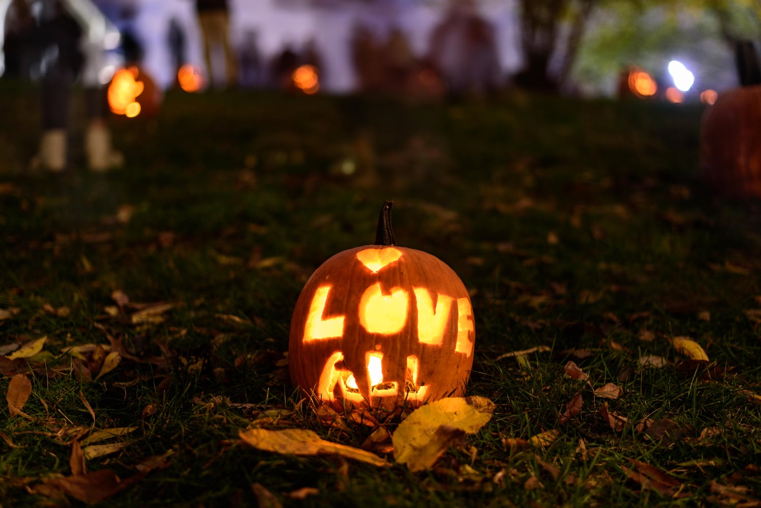 PHOTOS: The Stoddard Avenue Pumpkin Glow Night 1