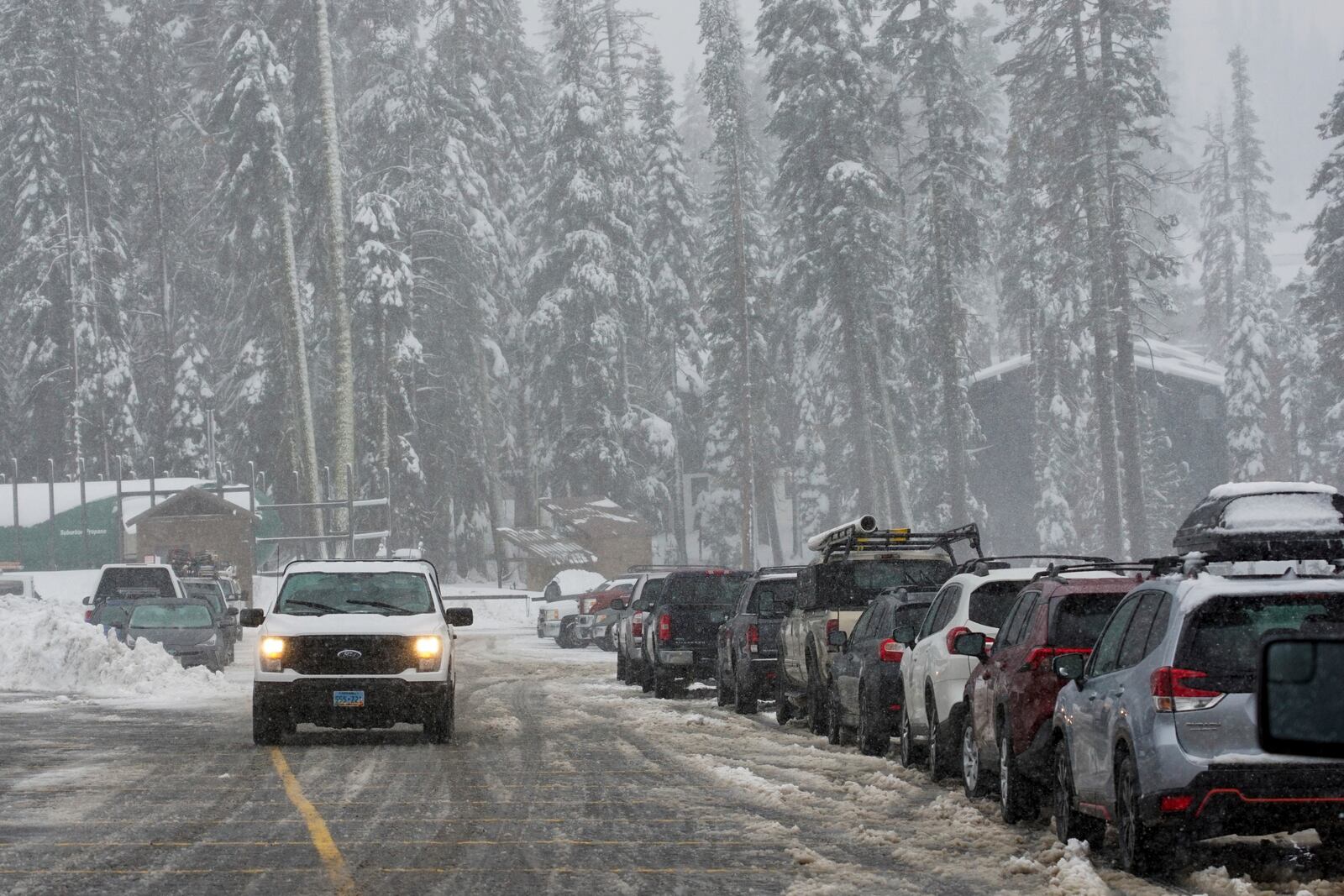 Snow comes down on trees and a road during a storm Thursday, Nov. 21, 2024, at Sugar Bowl Ski Resort in Norden, Calif. (AP Photo/Brooke Hess-Homeier)