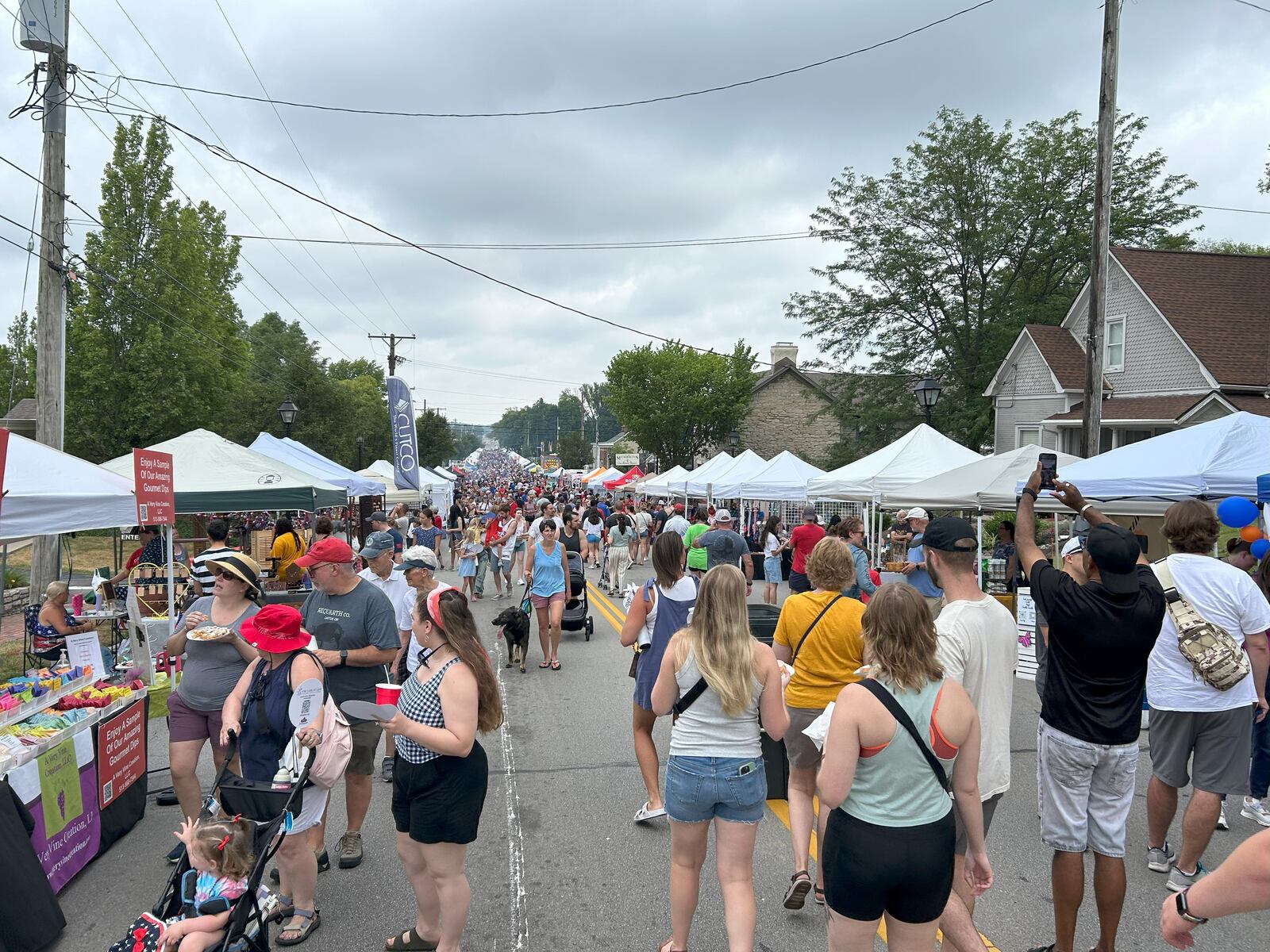 People had plenty of choices for food and other items at the Centerville-Washington Township Americana Festival on Thursday, July 4, 2024 in Centerville. LYNN HULSEY/STAFF