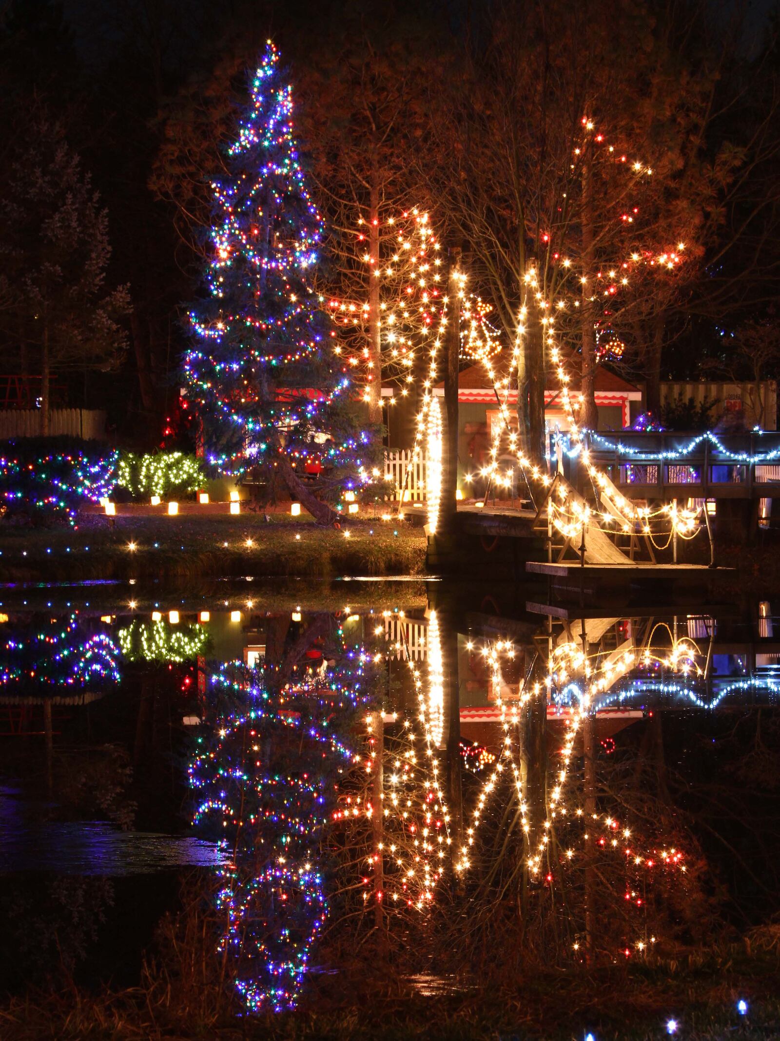 The Woodland Lights holiday lighting display is celebrating its 25th anniversary this year.