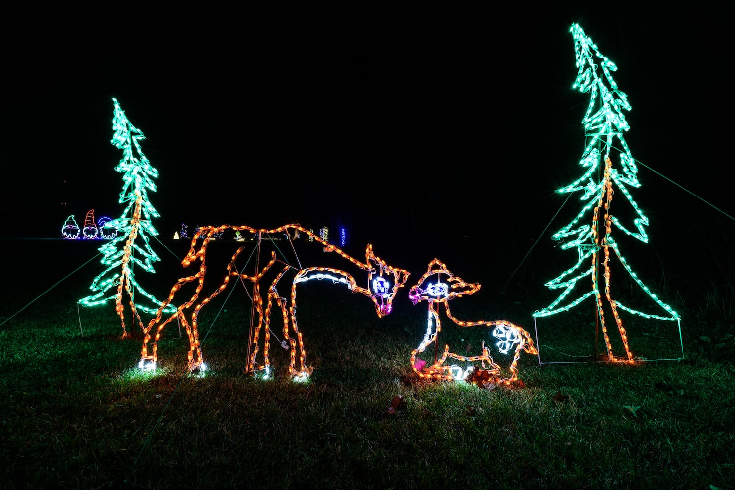 PHOTOS: 2024 Holiday Lights at Lost Creek Reserve in Troy