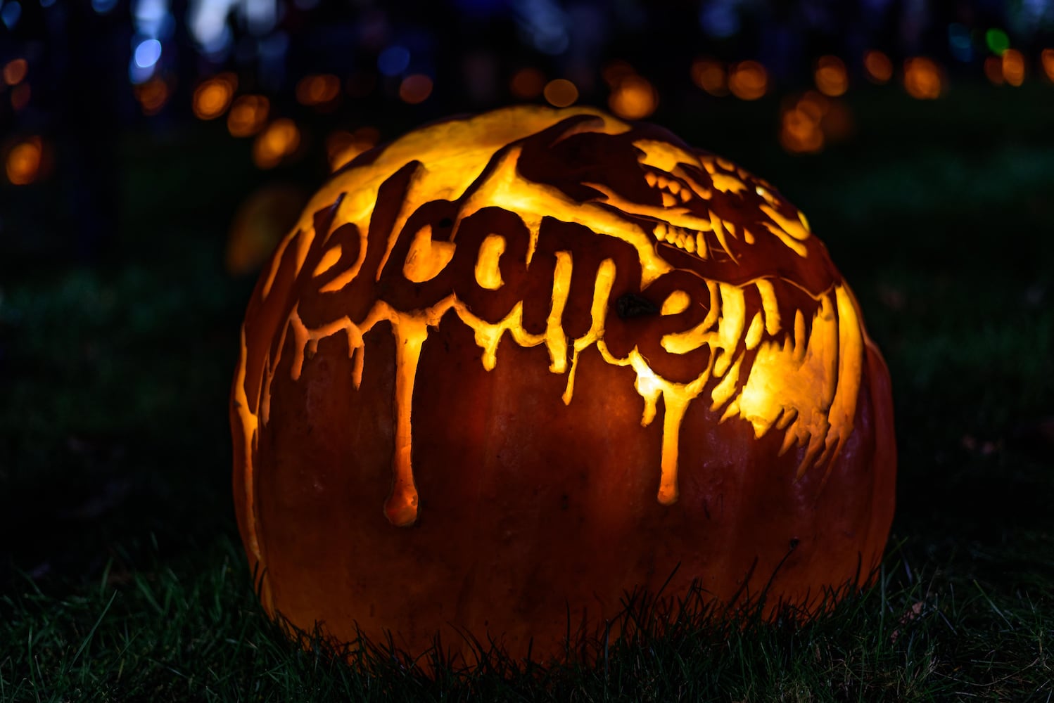 PHOTOS: The Stoddard Avenue Pumpkin Glow Night 1