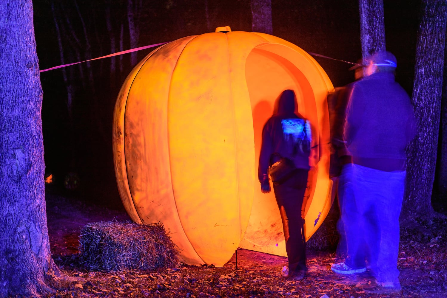 PHOTOS: 2024 Pumpkin Glow at Caesar Ford Park