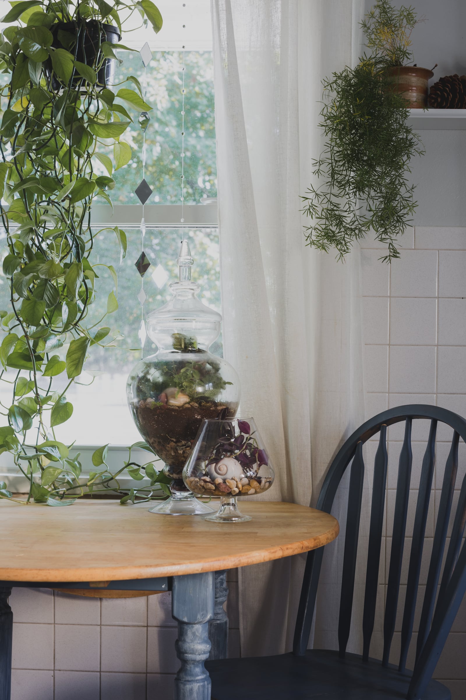 Terrariums Carly Short has crafted add to the cozy appeal of the home. 