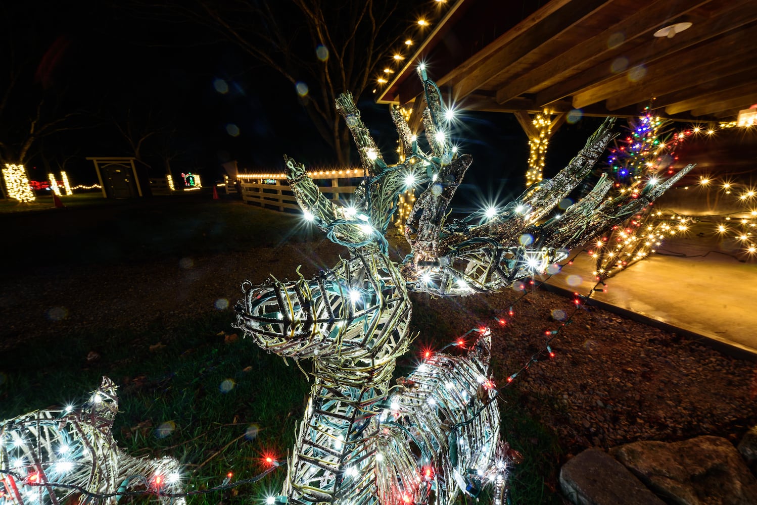 PHOTOS: 2024 Holiday Lights at Lost Creek Reserve in Troy