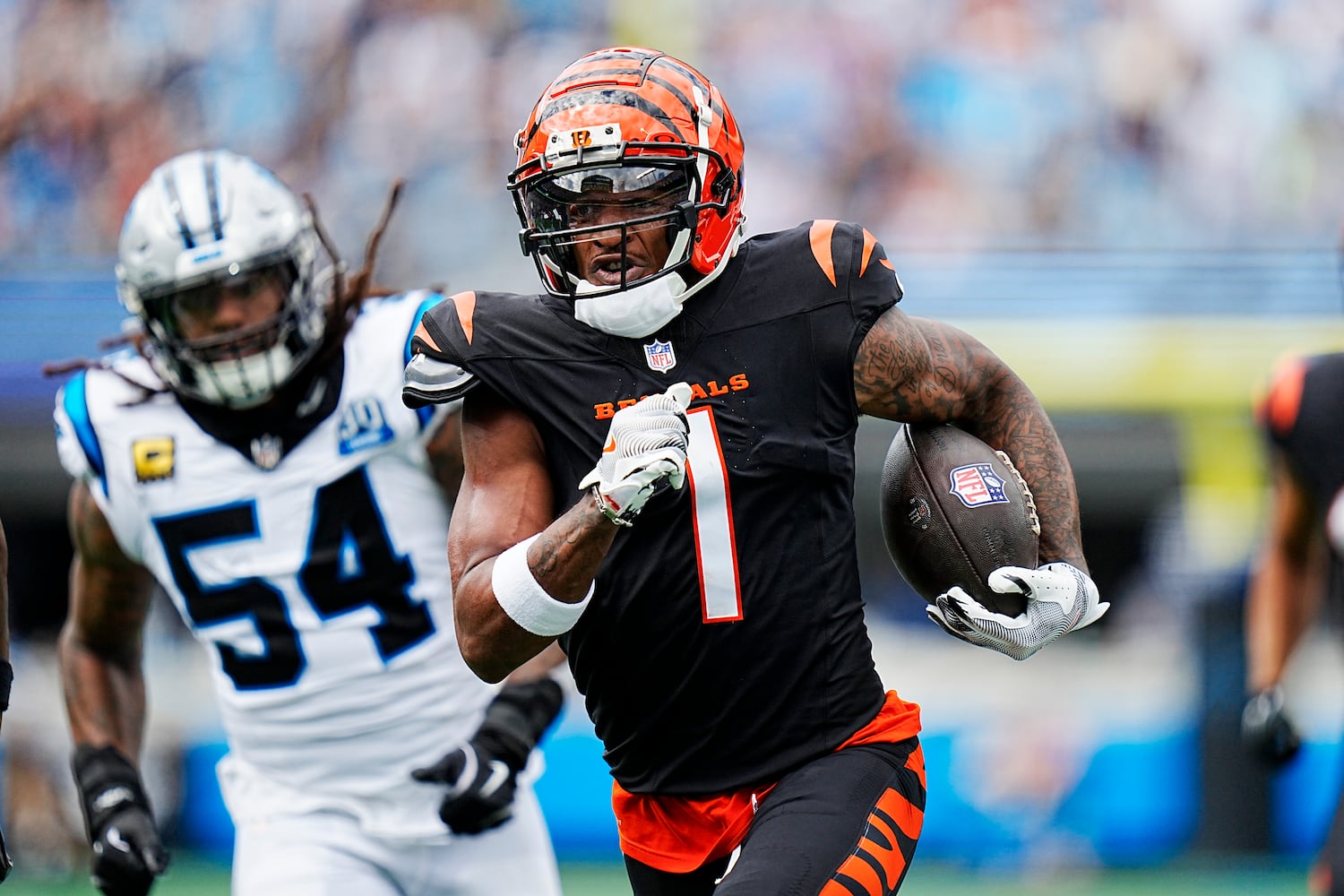 Bengals Panthers Football