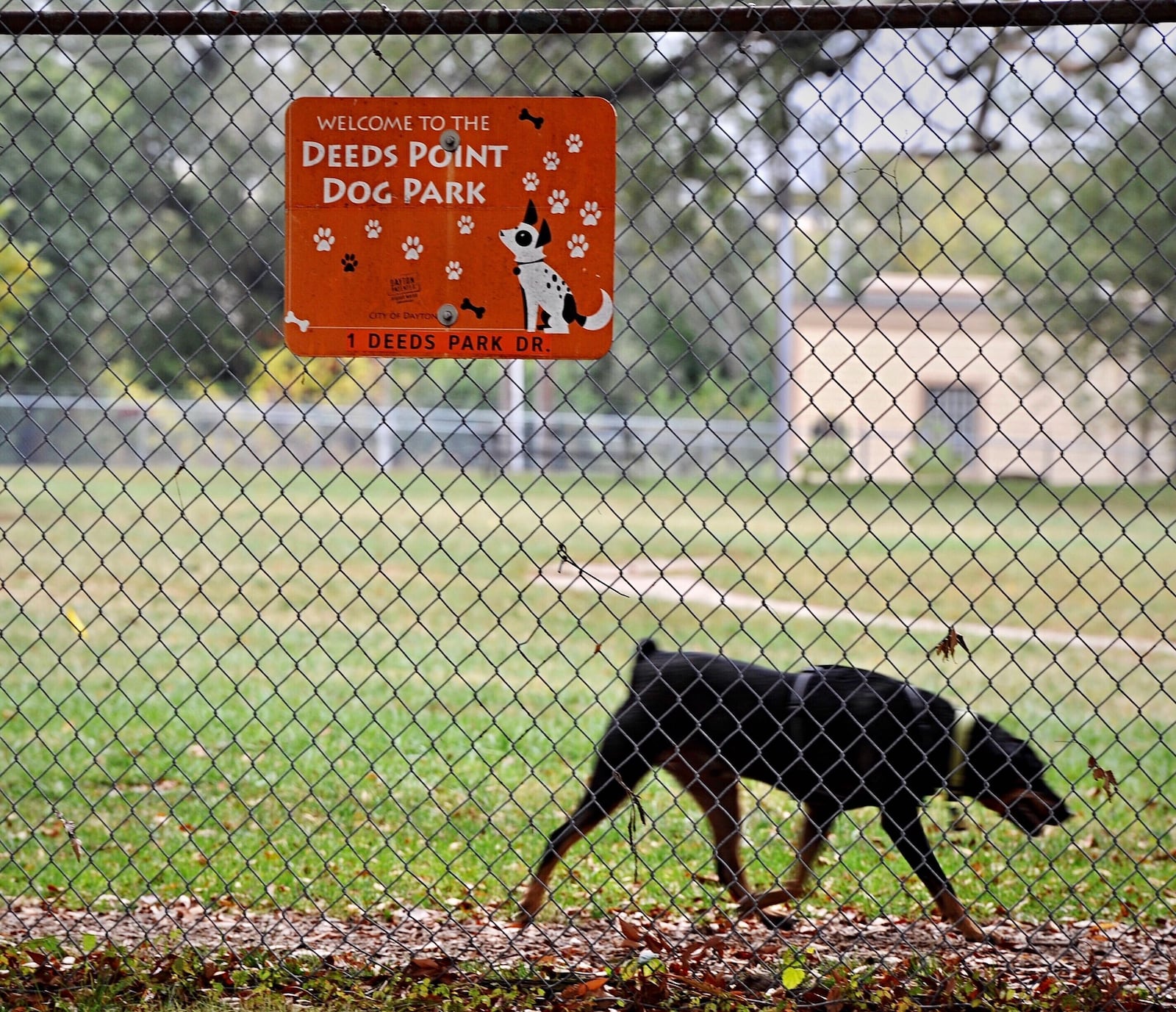 Deeds Point Dog Park