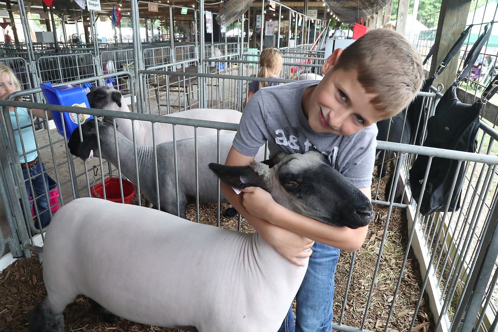 Camron Prince holds one of his prize winning sheep Thursday, Aug. 11, 2022 at the Champaign County Fair. BILL LACKEY/STAFF