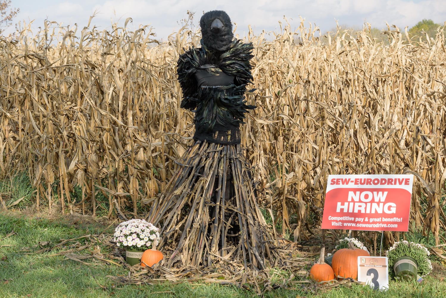 PHOTOS: 2024 Fall Farm Fest at Lost Creek Reserve in Troy