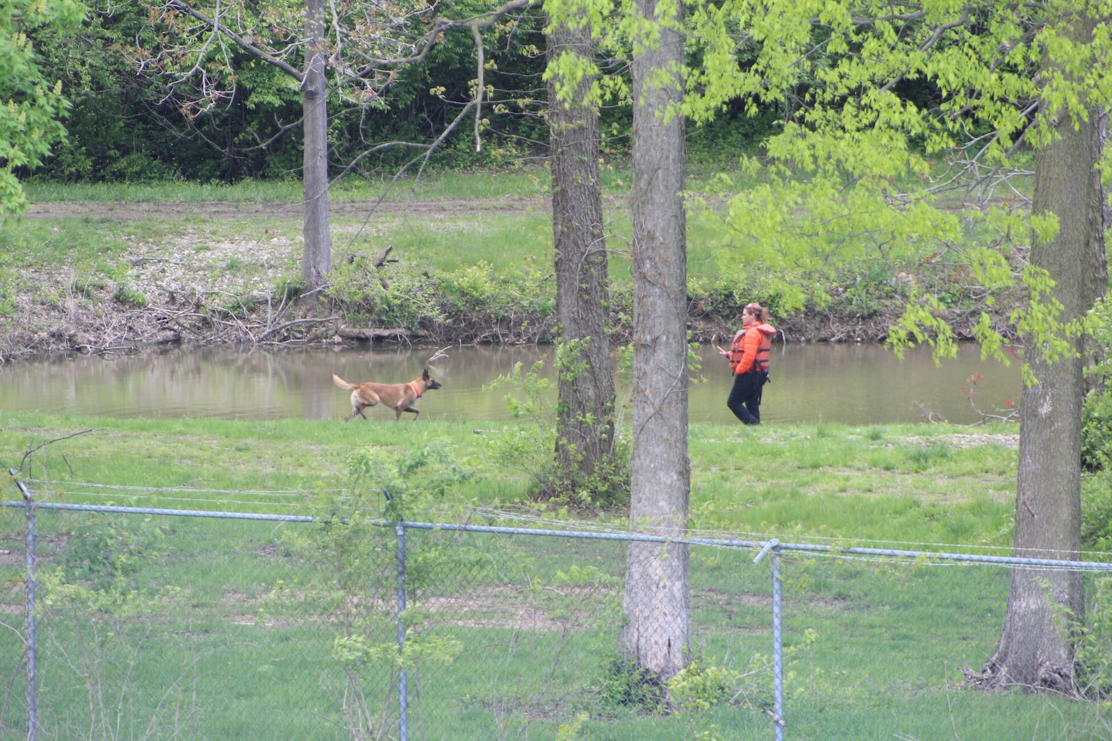 A dog, monitored by a handler, sniffed around a body of water near the Mad River well field near Eastwood MetroPark on Sunday, April 30, 2023. Authorities were searching for a boy who went missing on Saturday. CORNELIUS FROLIK / STAFF