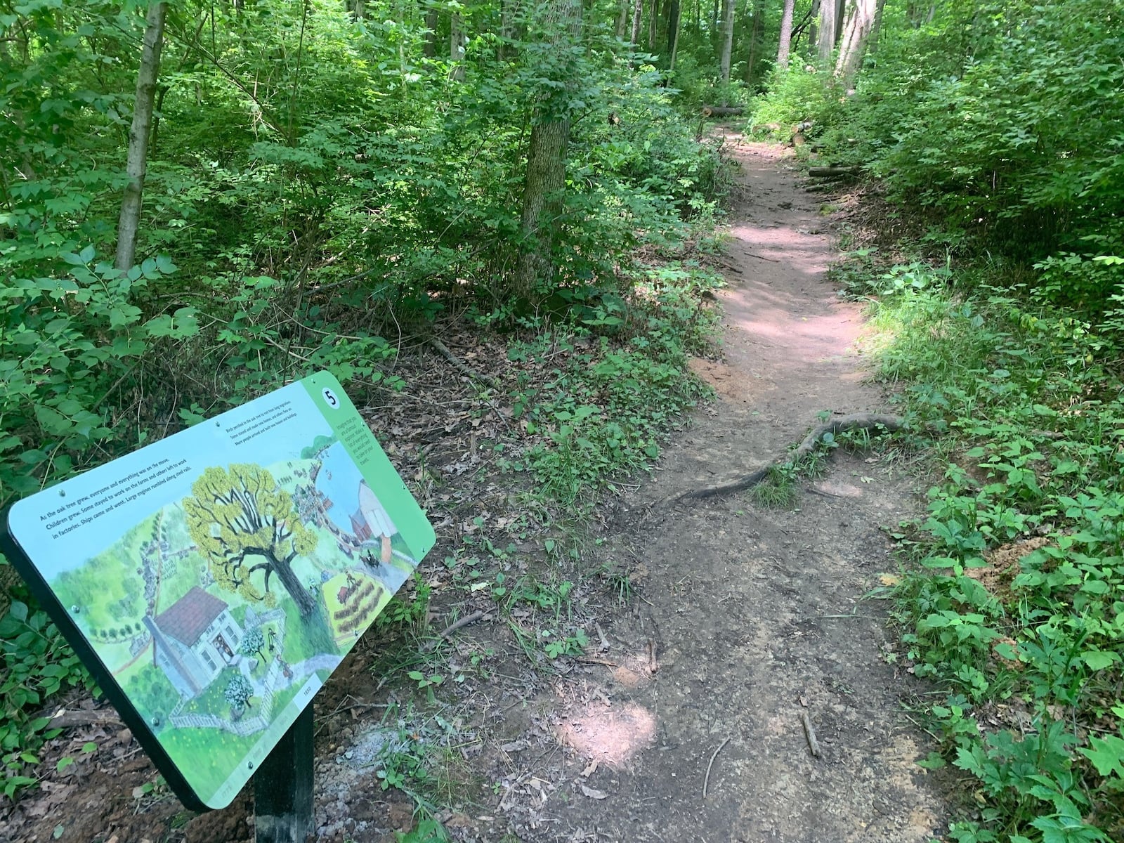 A new Storybook Trail at John Bryan State Park in Yellow Springs, is now open to the public and doing its part to instill in children a love of nature and reading.