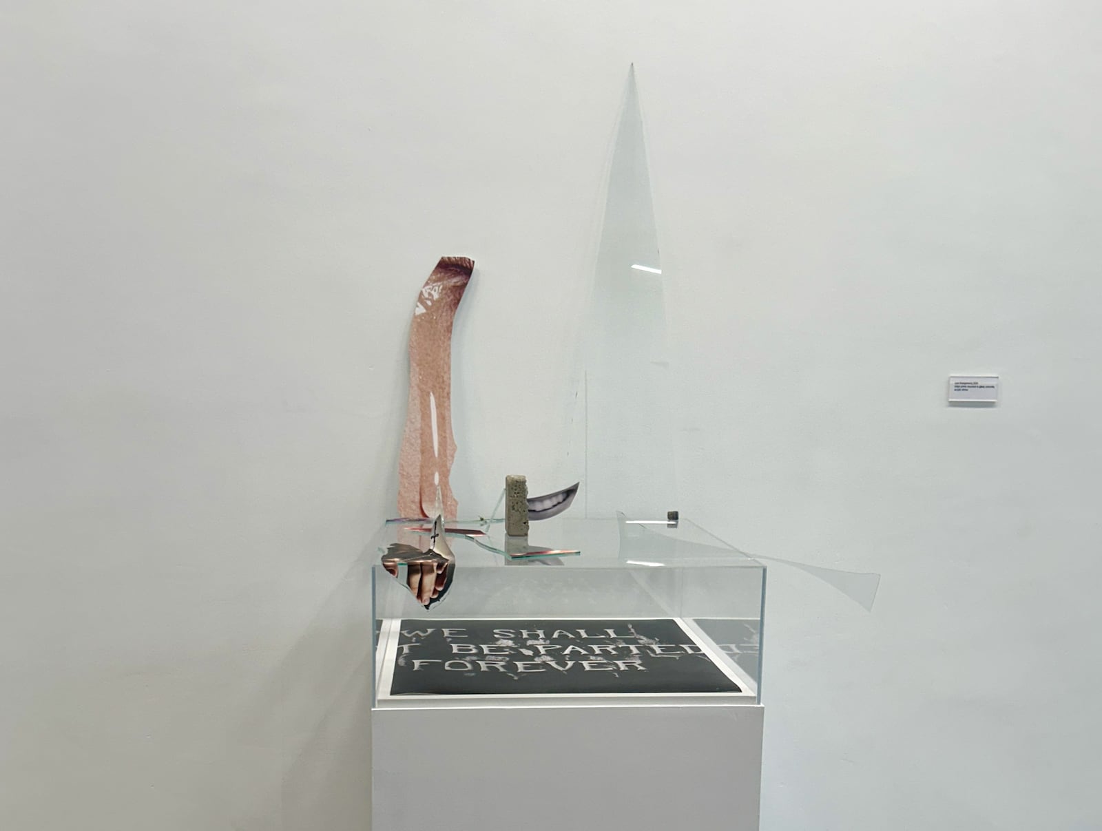 Curtis Mann, Last Arrangement, Inkjet print, Inkjet prints mounted to glass, concrete, acrylic vitrine, 2024, dimensions variable