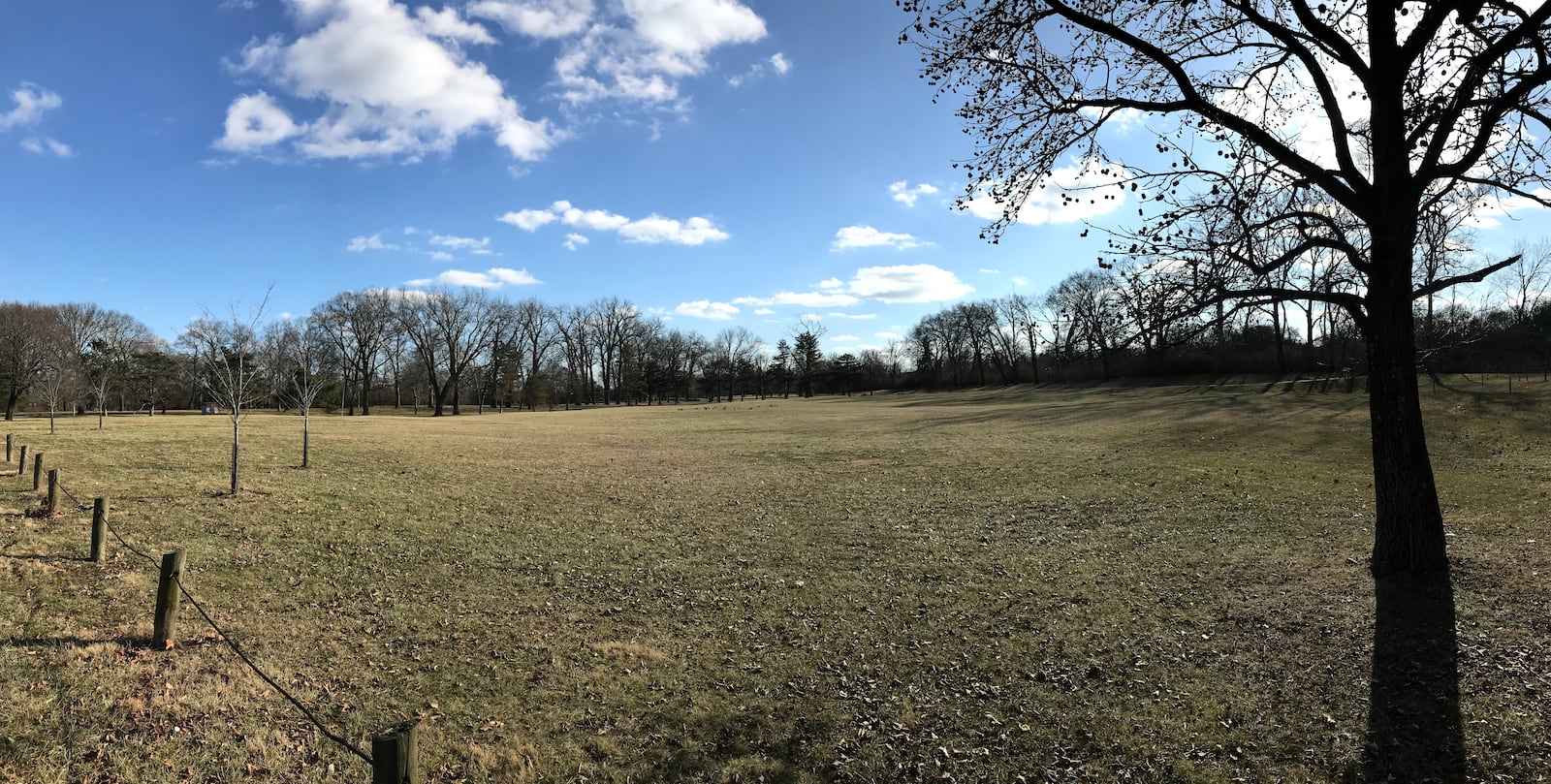 A vacant field that is part of Triangle Park, the site of the first NFL game, in North Dayton (Photo: Marcus Hartman/CMGO)