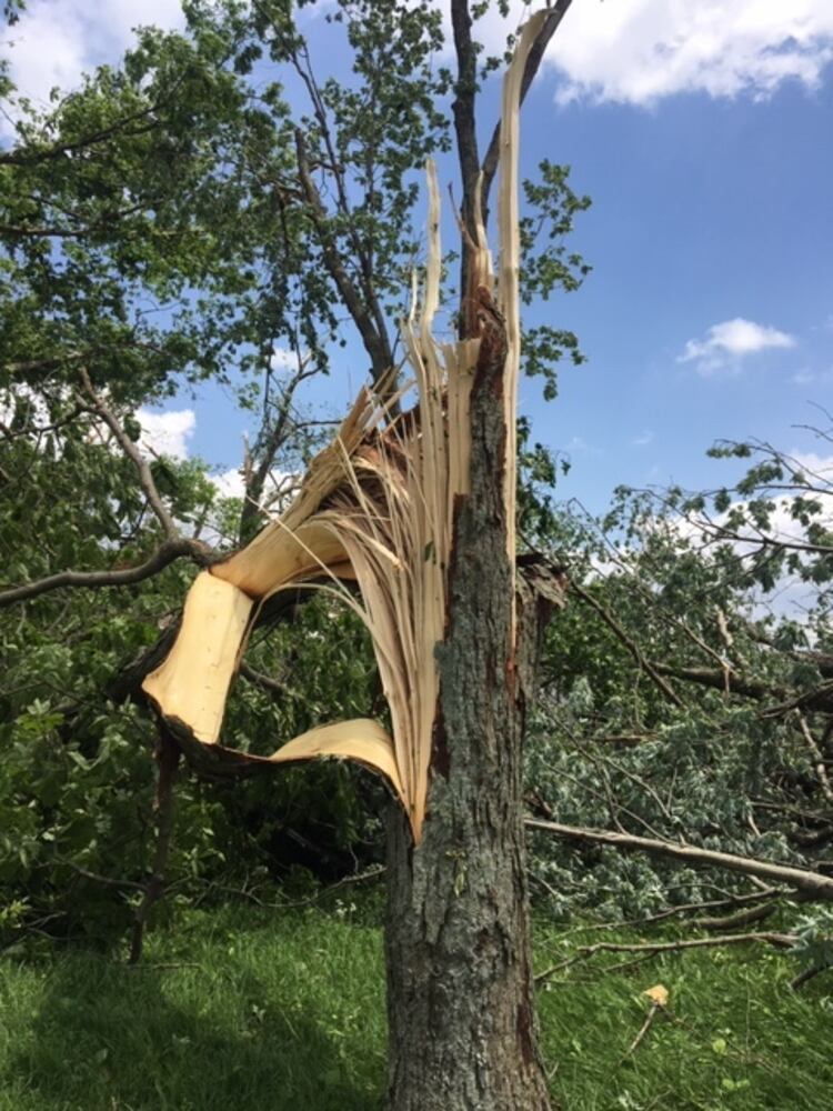 PHOTOS: Daylight reveals widespread damage from Monday storms