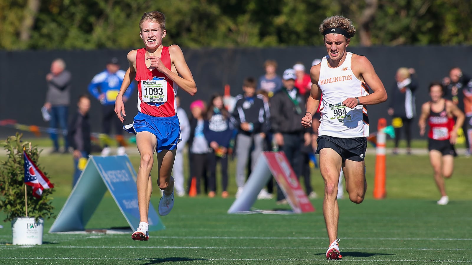 Cutline: Carroll High School junior Jack Agnew passes Marlington senior Noah Graham down the backstretch to win the D-II boys race at the Ohio High School Athletic Association Cross Country Championships at Fortress Obetz. Michael Cooper/CONTRIBUTED