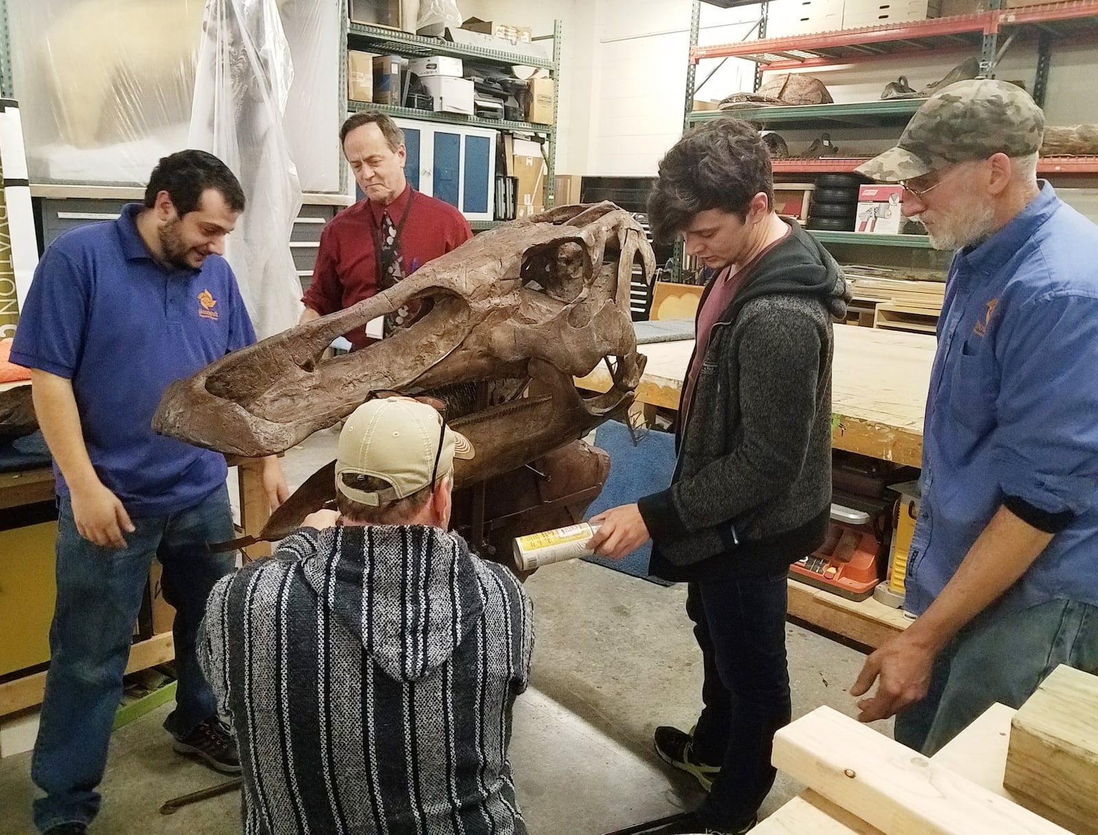 Dayton Society of Natural History staffers get a first look at the hadrosaur skull, which is now part of the museum’s permanent collection. CONTRIBUTED