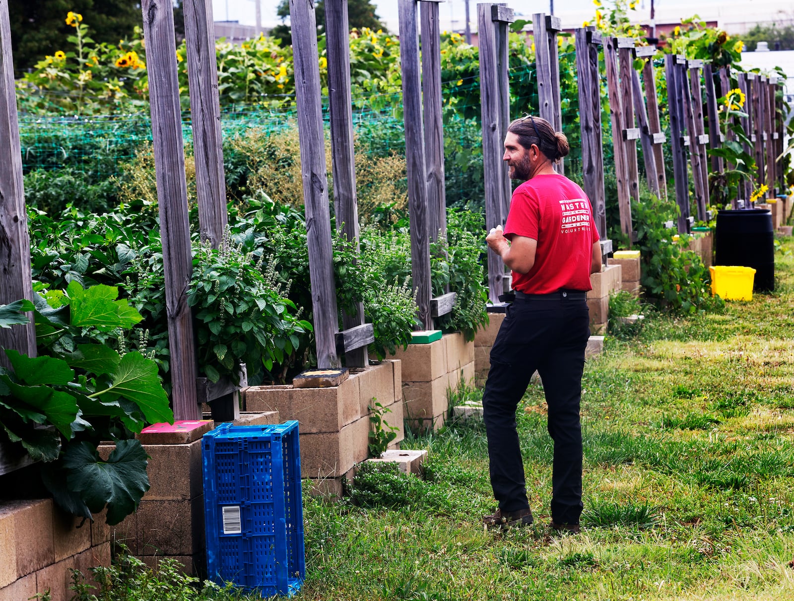 James Hoffer, garden manager at the Foodbank, walks through the garden Monday, July 29, 2024. MARSHALL GORBY\STAFF