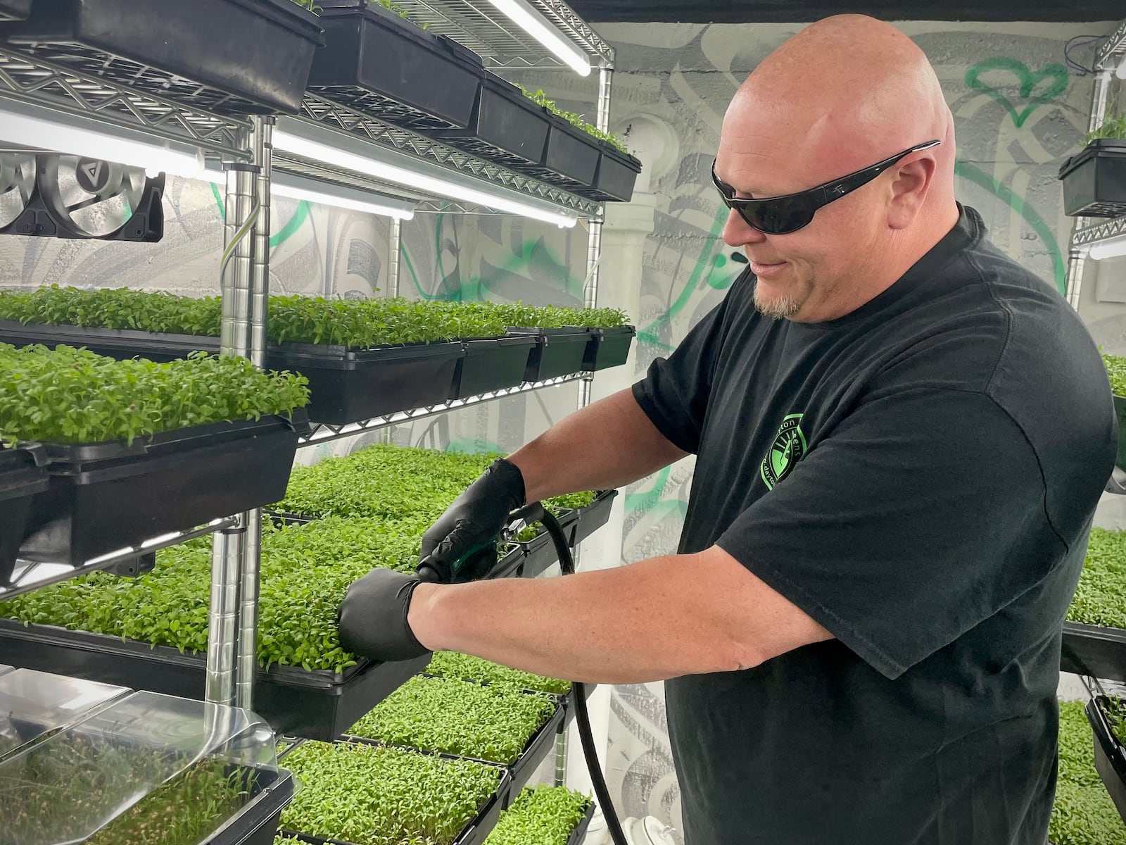 Dayton Microgreens, which started in founder Mark Tarziers' garage, has now expanded to a brick-and-mortar location on Wayne Avenue. NATALIE JONES/STAFF