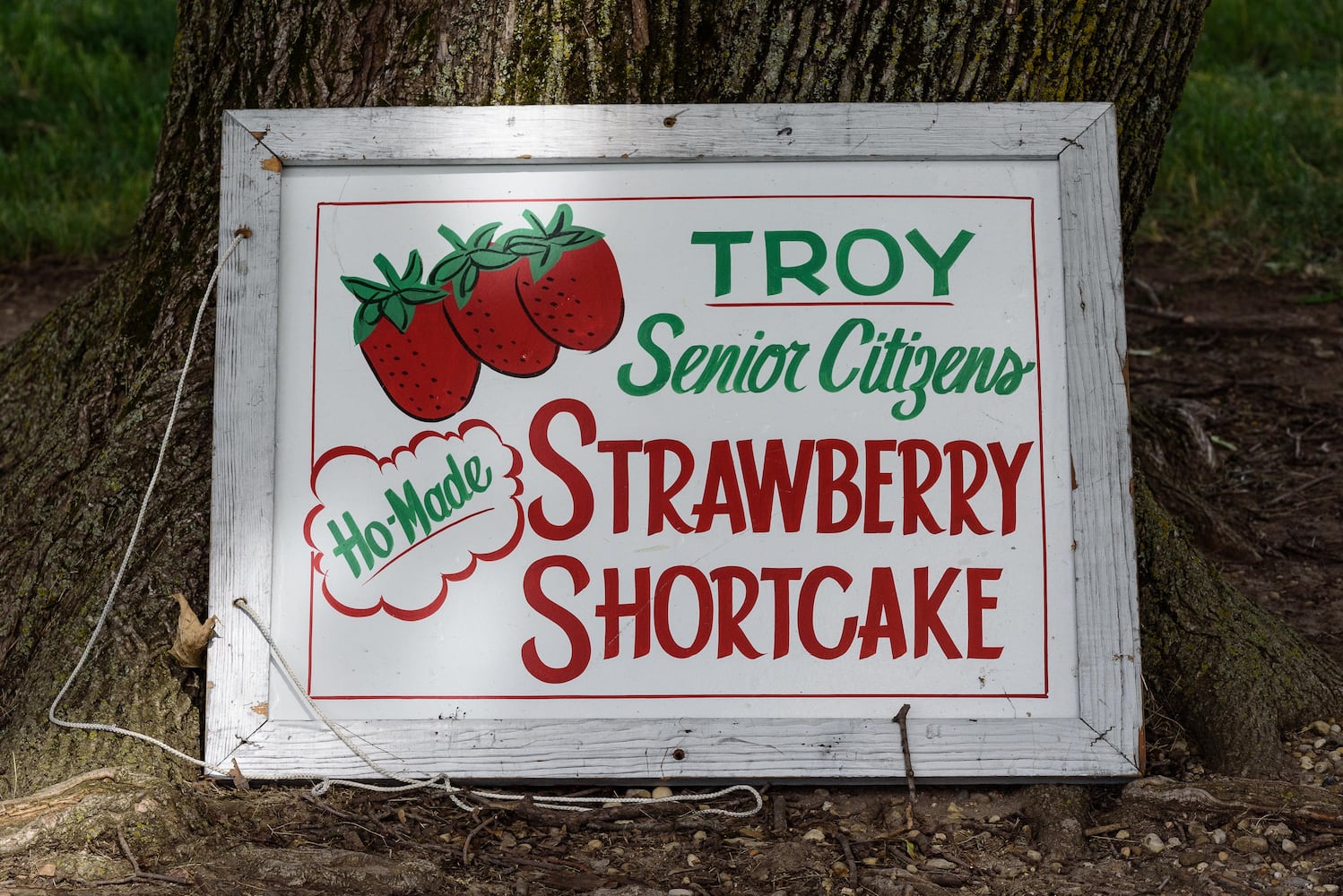 PHOTOS: 48th annual Troy Strawberry Festival