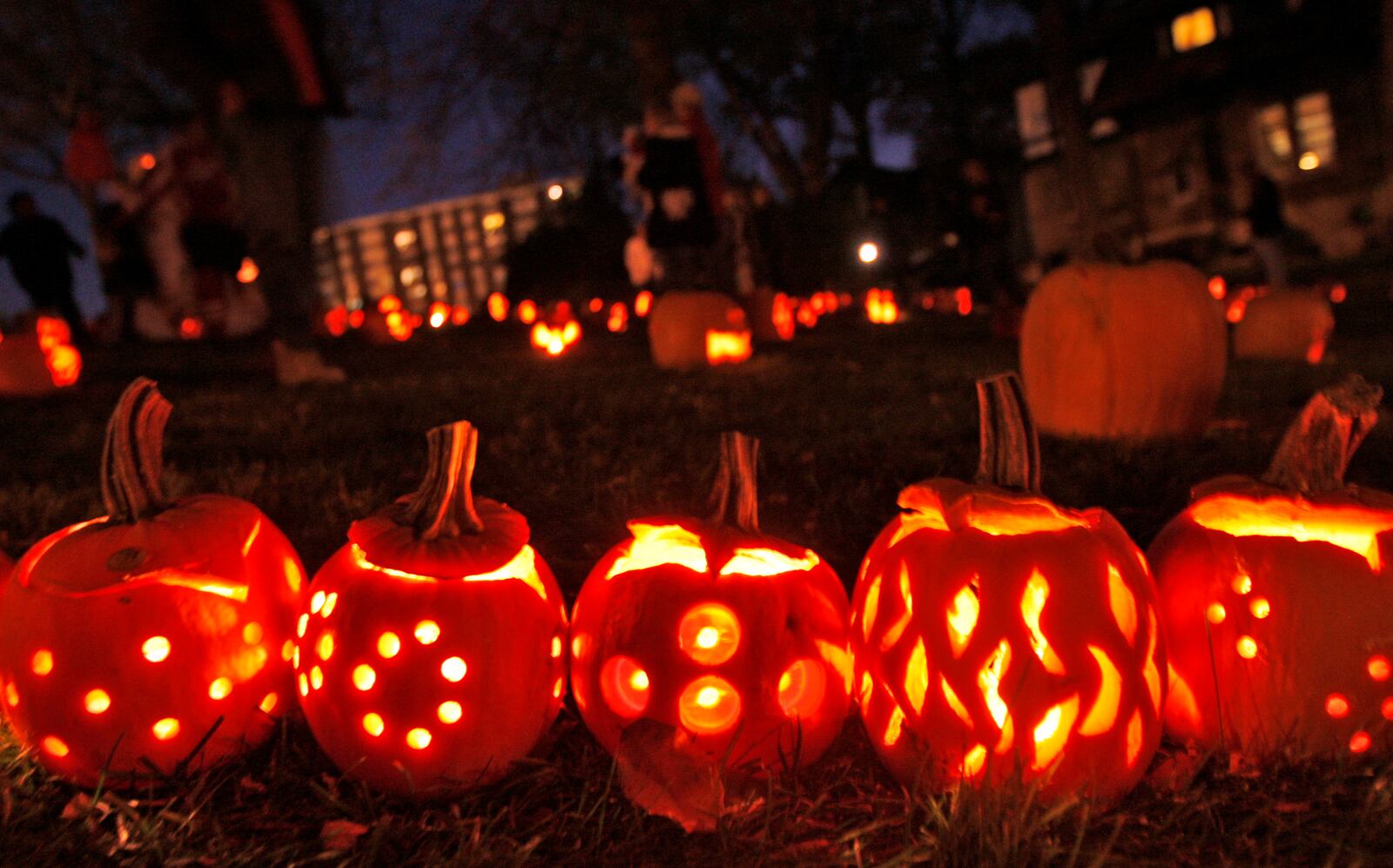 The  Stoddard Ave Pumpkin Glow in Grafton Hill.