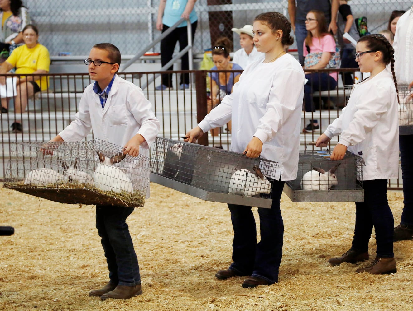 PHOTOS: What we saw at the 2019 Greene County fair