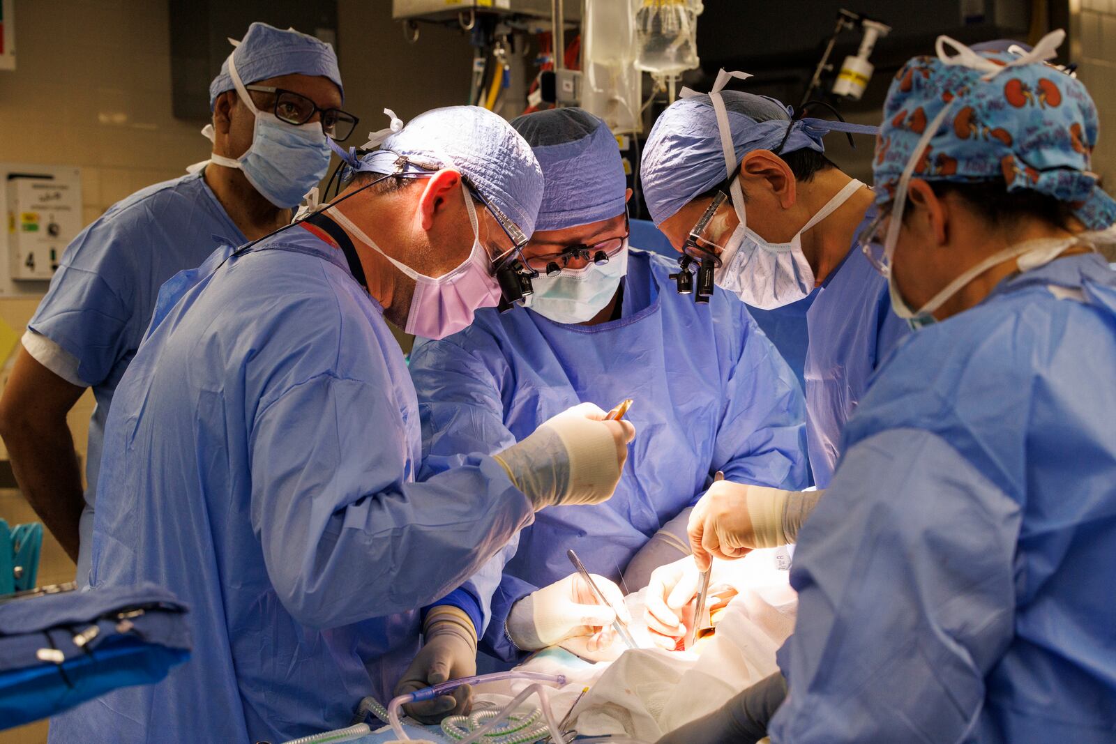 Surgeons from Massachusetts General Hospital in Boston on Jan. 25, 2025, successfully transplanted a genetically-edited pig kidney into 66-year-old Tim Andrews of Concord, N.H. (Kate Flock/Massachusetts General Hospital via AP)