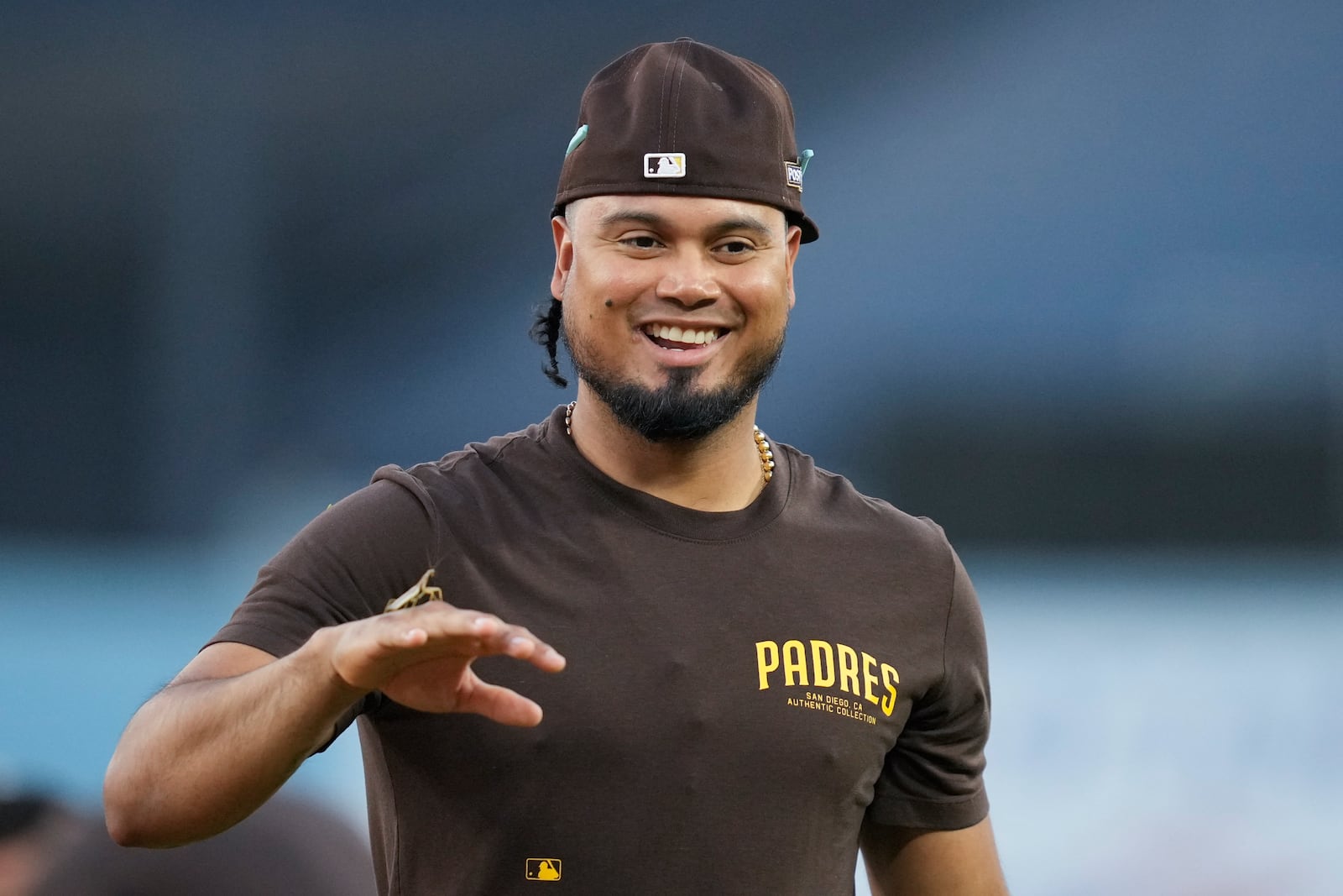 San Diego Padres' Luis Arraez has a praying mantis on his hand during practice ahead of Game 5 of a baseball National League Division Series against the Los Angeles Dodgers, Thursday, Oct. 10, 2024, in Los Angeles. (AP Photo/Ashley Landis)