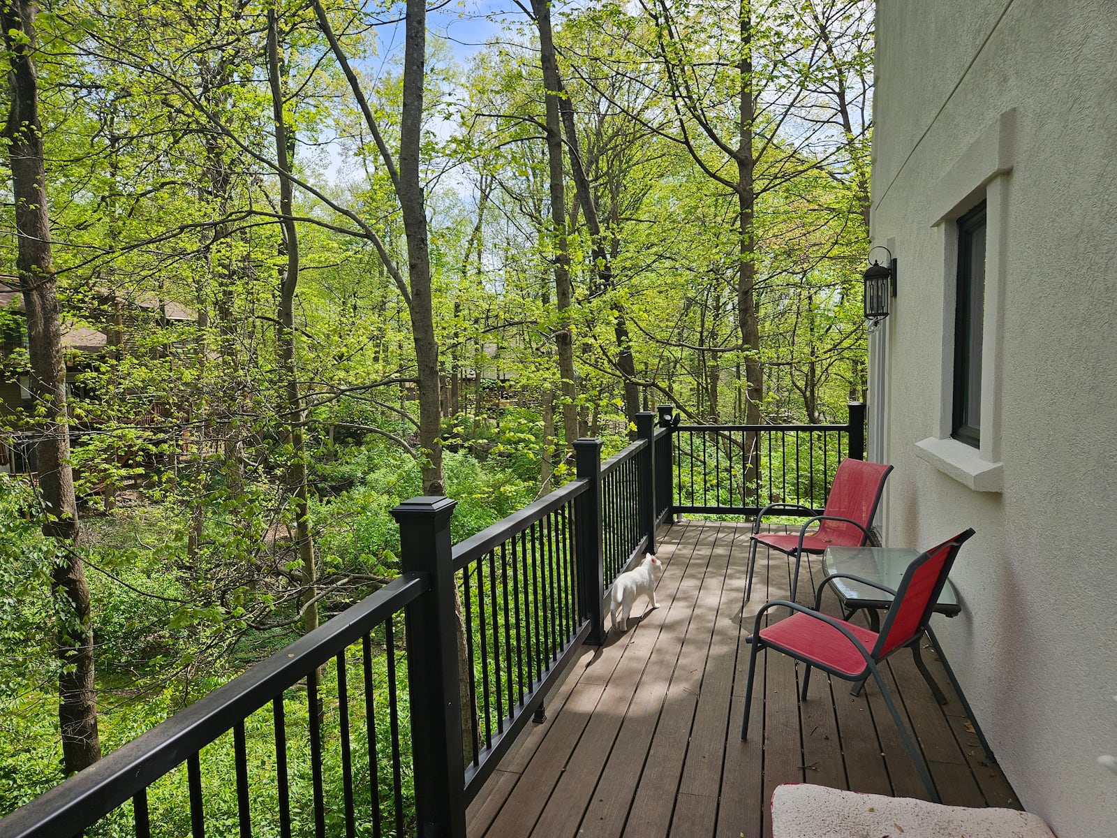 Nature can be enjoyed from the couple's deck. JESSICA GRAUE / CONTRIBUTED