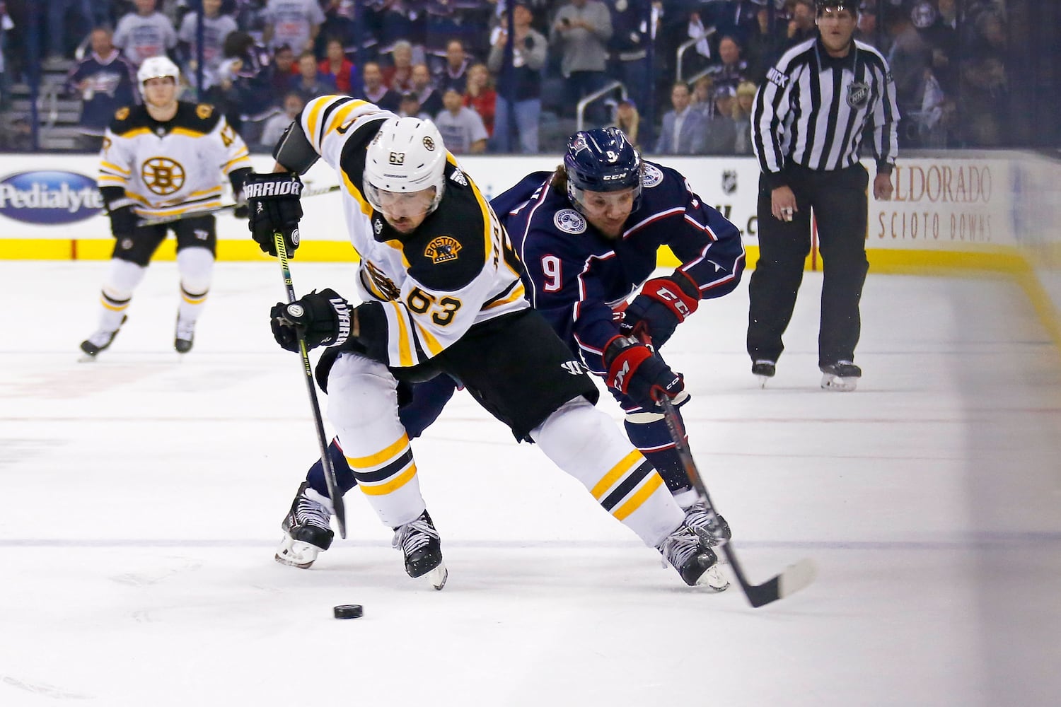 blue jackets bruins