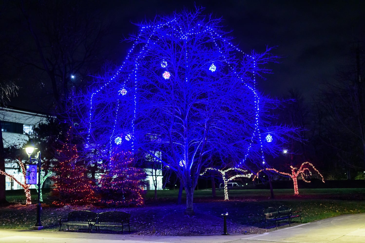 PHOTOS: 2024 Kettering Mayor's Tree Lighting at Lincoln Park Civic Commons