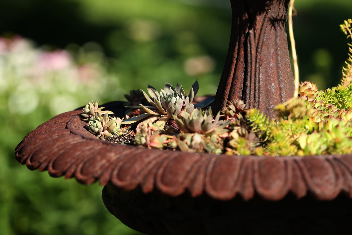 PHOTOS: Take a stroll through the glorious Grotto Gardens