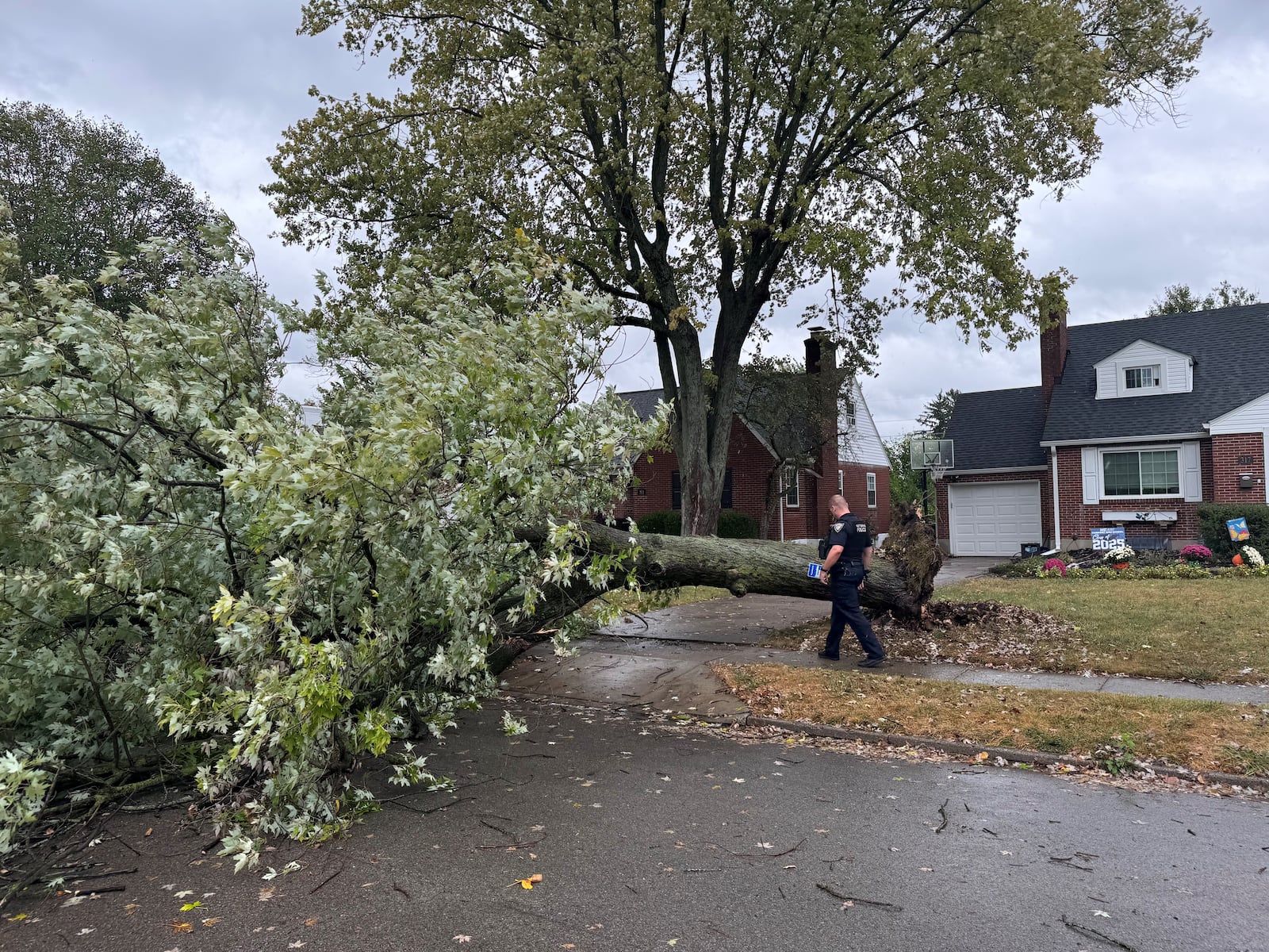 Strong winds from Hurricane Helene knocked down a tree in the 300 block of Lewiston in Kettering just after 2 p.m. Friday, Sept. 27, 2024. Photo courtesy Mark Fisher.