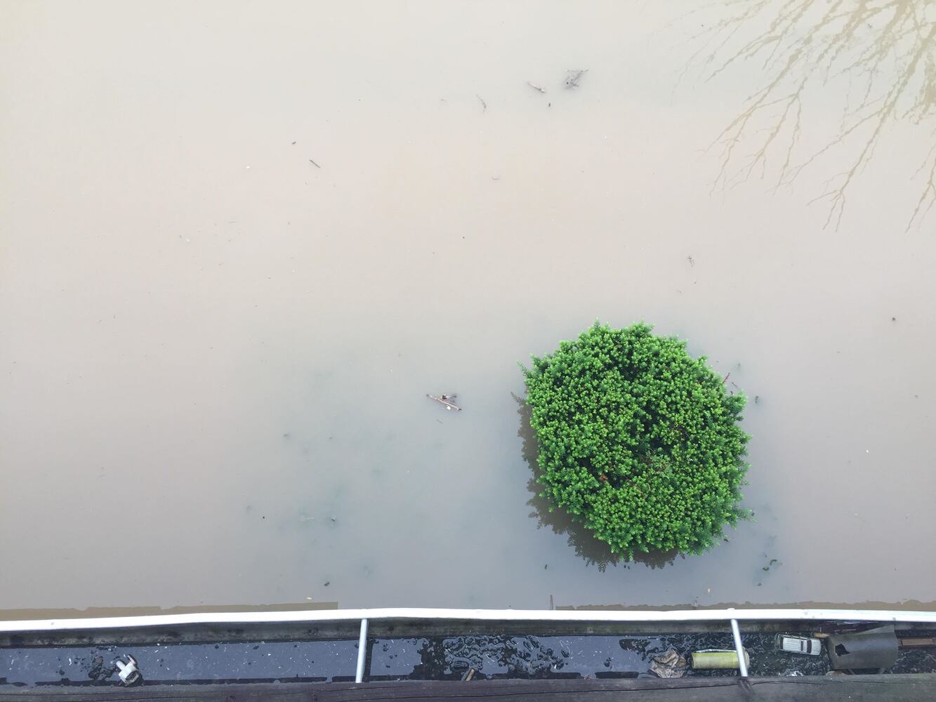 PHOTOS: Flooding in Champaign County