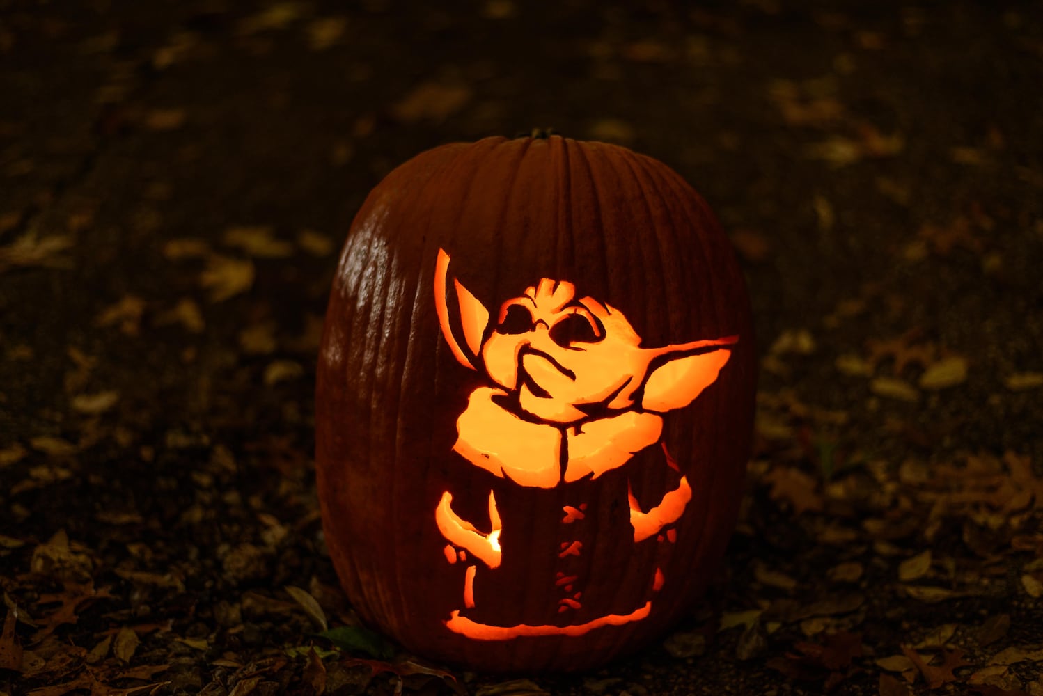 PHOTOS: The Stoddard Avenue Pumpkin Glow Night 1