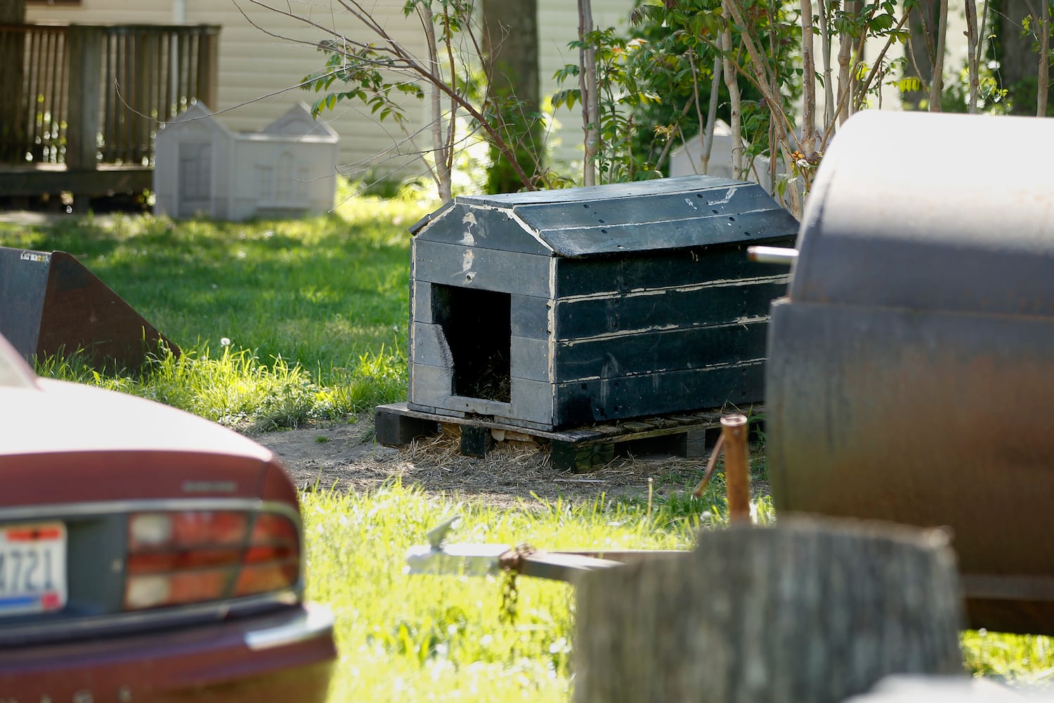 Fatal dog attack site