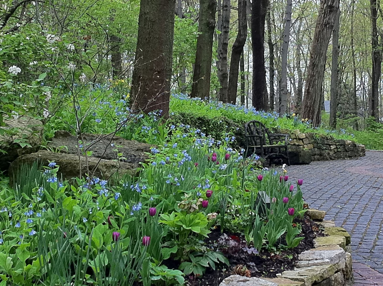 A local garden tour is being planned by the Garden Club of Dayton. CONTRIBUTED