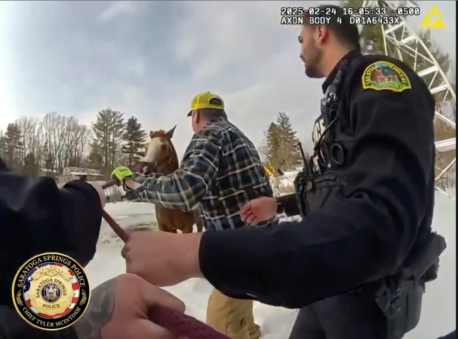 This image from body cam video, provided by Saratoga Springs Police, shows the rescue of Sly, a 1,300-pound horse that fell through ice of a pond in Saratoga Springs, N.Y., Monday, Feb. 24, 2025. (Saratoga Springs Police via AP)