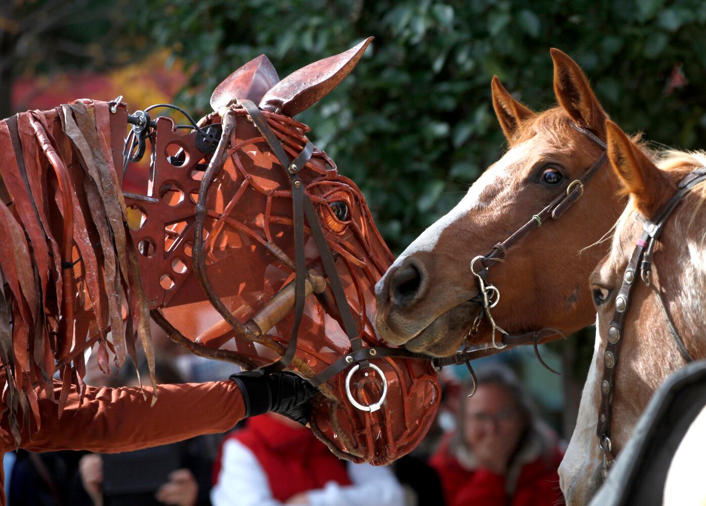 War Horse