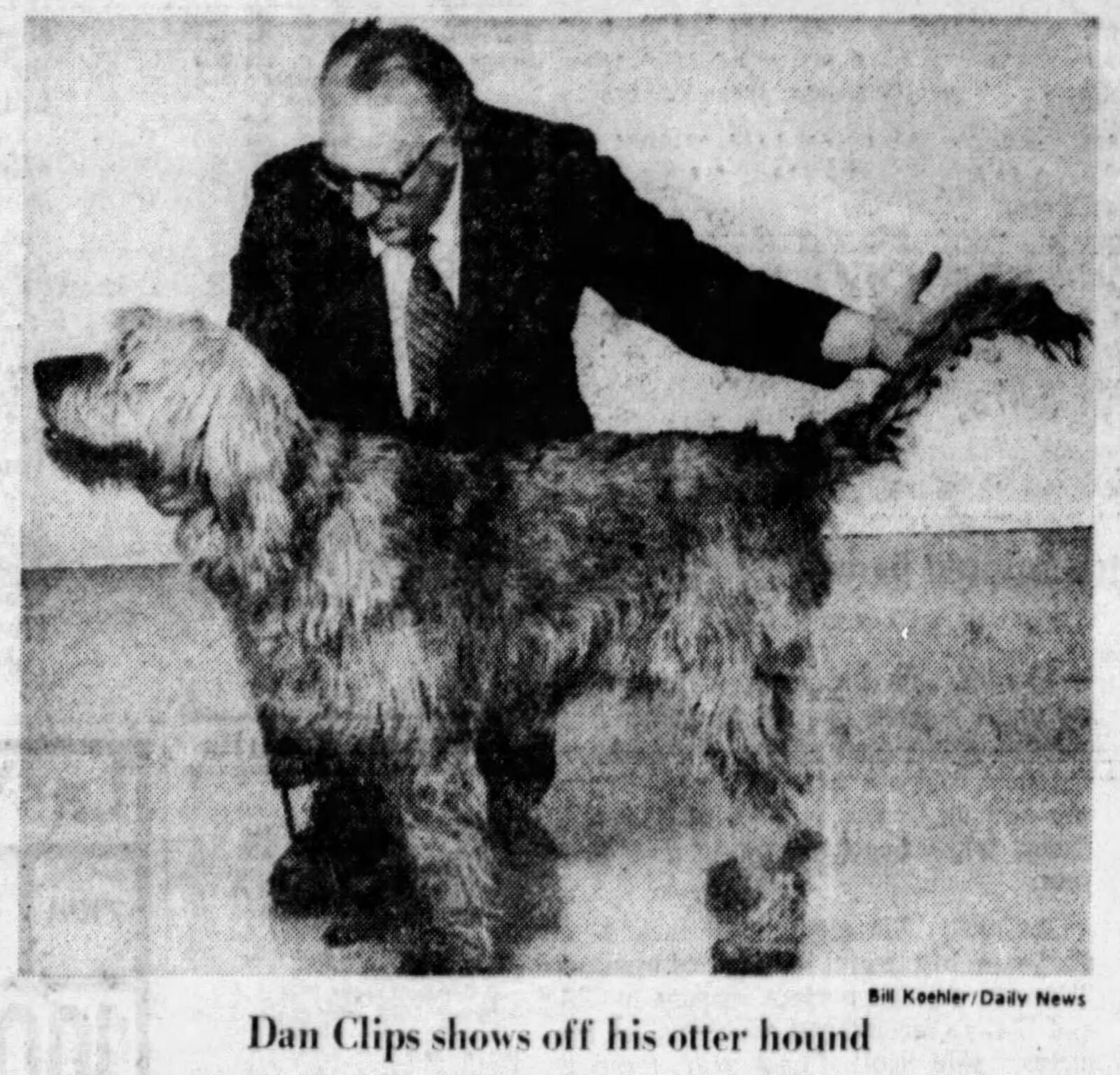 April 11, 1976: 120 breeds in Dayton dog show. DAYTON DAILY NEWS ARCHIVES