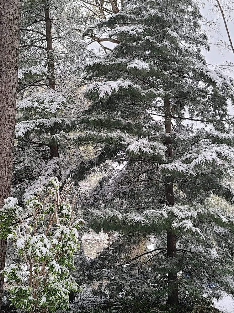 PHOTOS: Snowfall in April in the Miami Valley