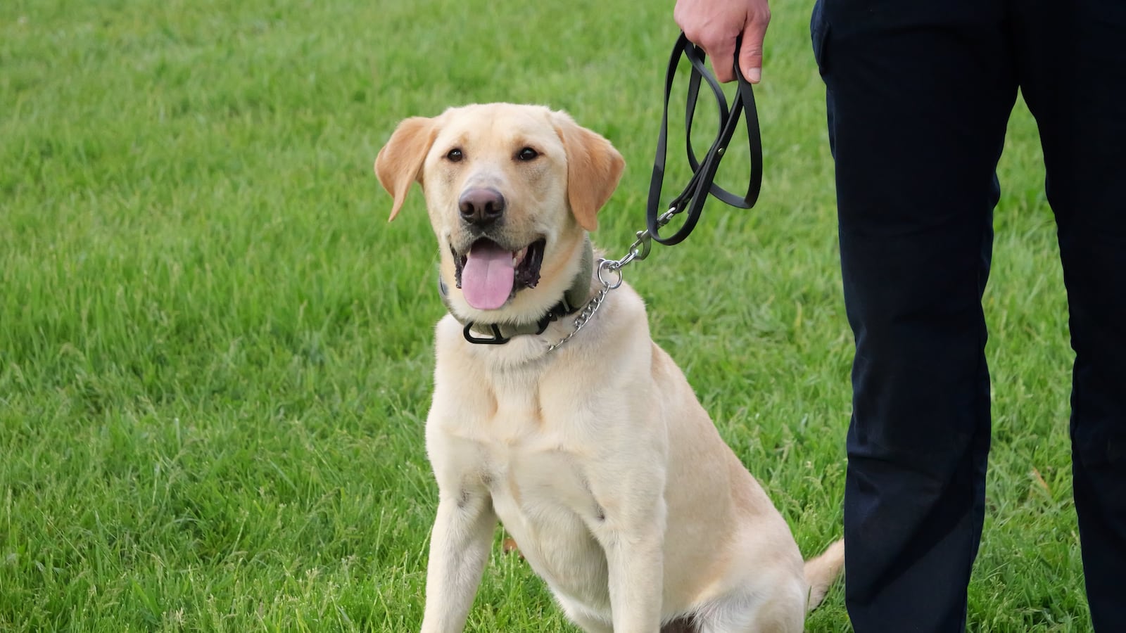 K9 North is a Dayton Police Department officer certified in explosive detection and evidence recovery. CONTRIBUTED