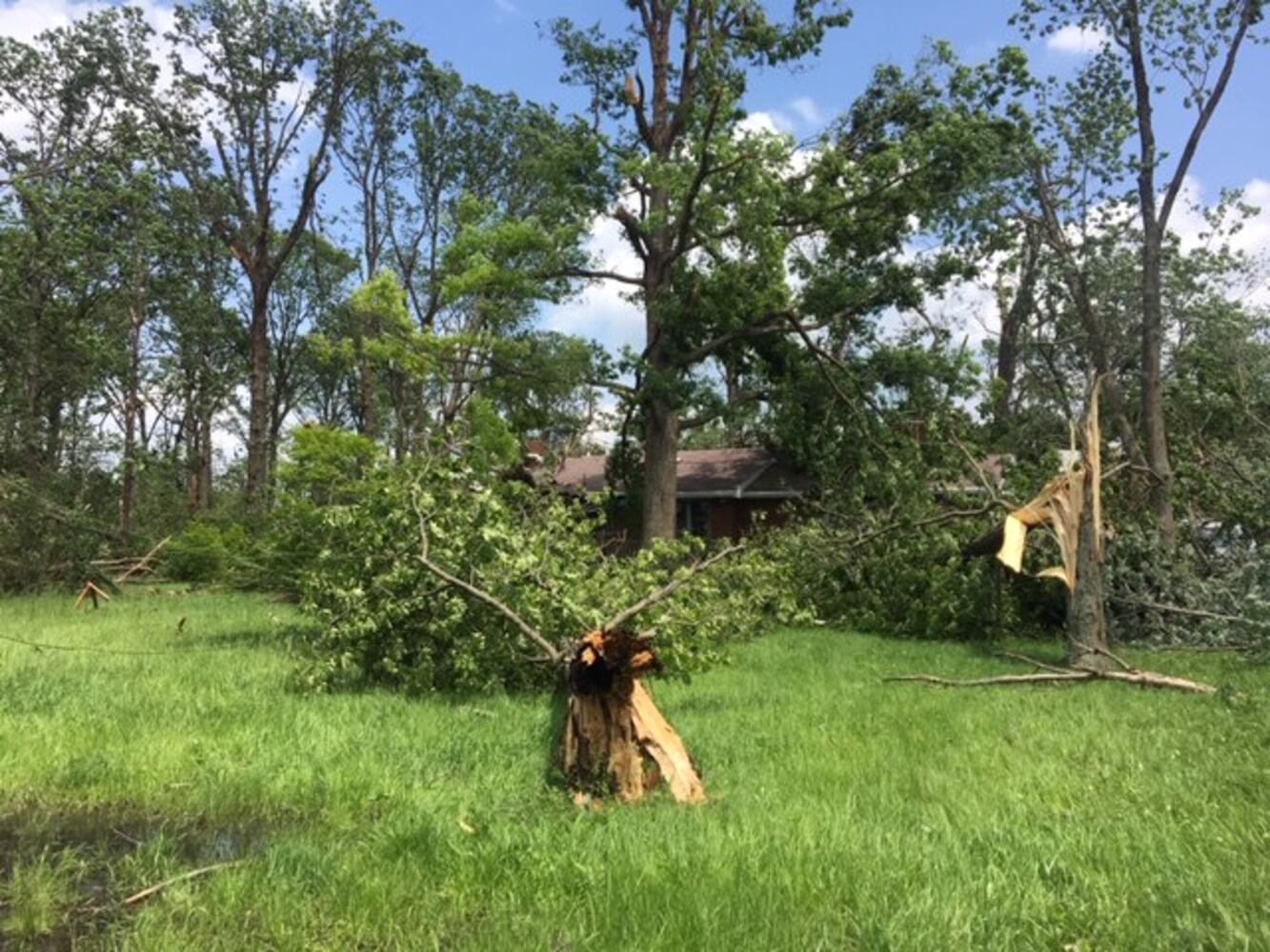 PHOTOS: Daylight reveals widespread damage from Monday storms