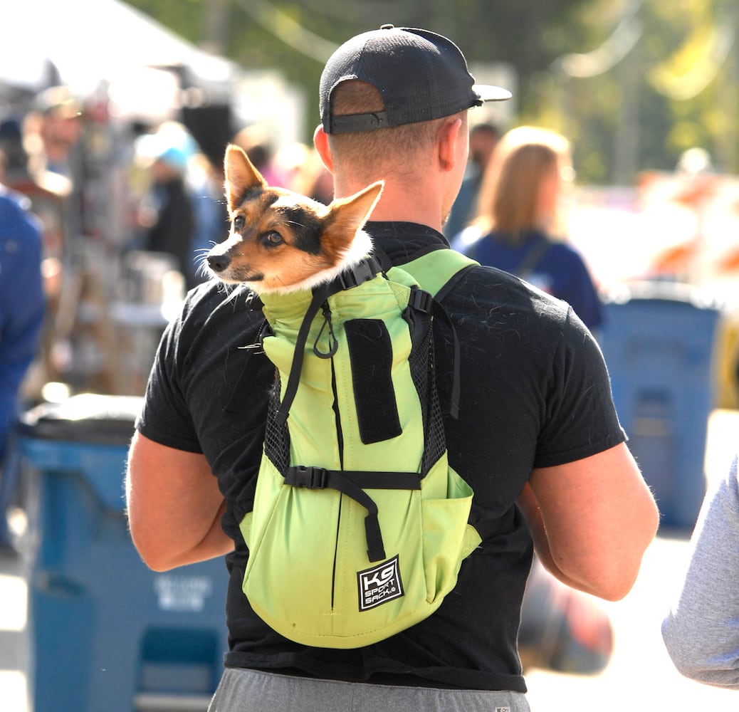 Did we spot you at the 45th Annual Spring Valley Potato Festival?