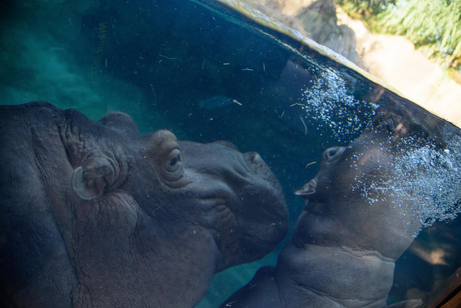 BEHIND THE SCENES: Take a look at what Fiona and Bibi are up to after hours