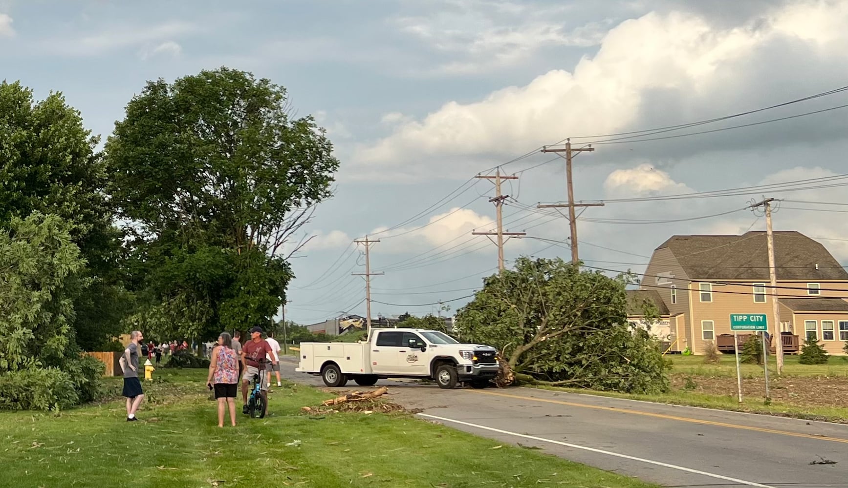 060922 tornado tree 1