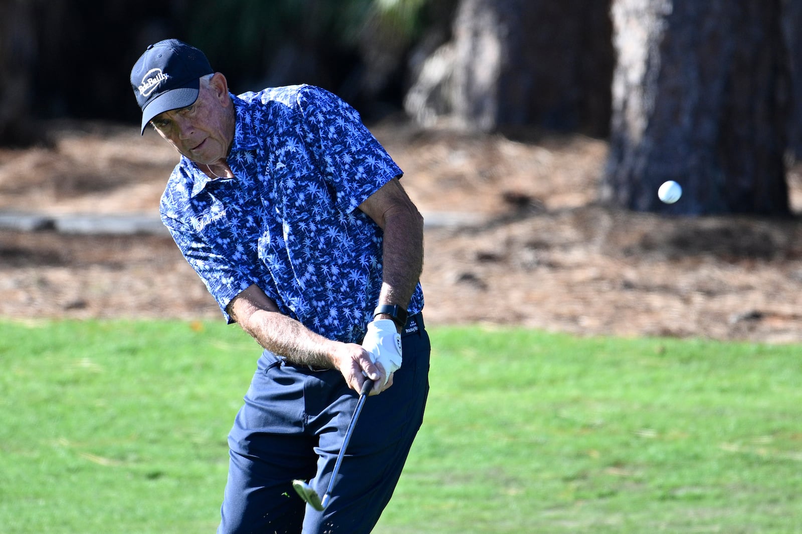 Tom Lehman hits from the third fairway during the first round of the PNC Championship golf tournament, Saturday, Dec. 21, 2024 in Orlando. (AP Photo/Phelan M. Ebenhack)