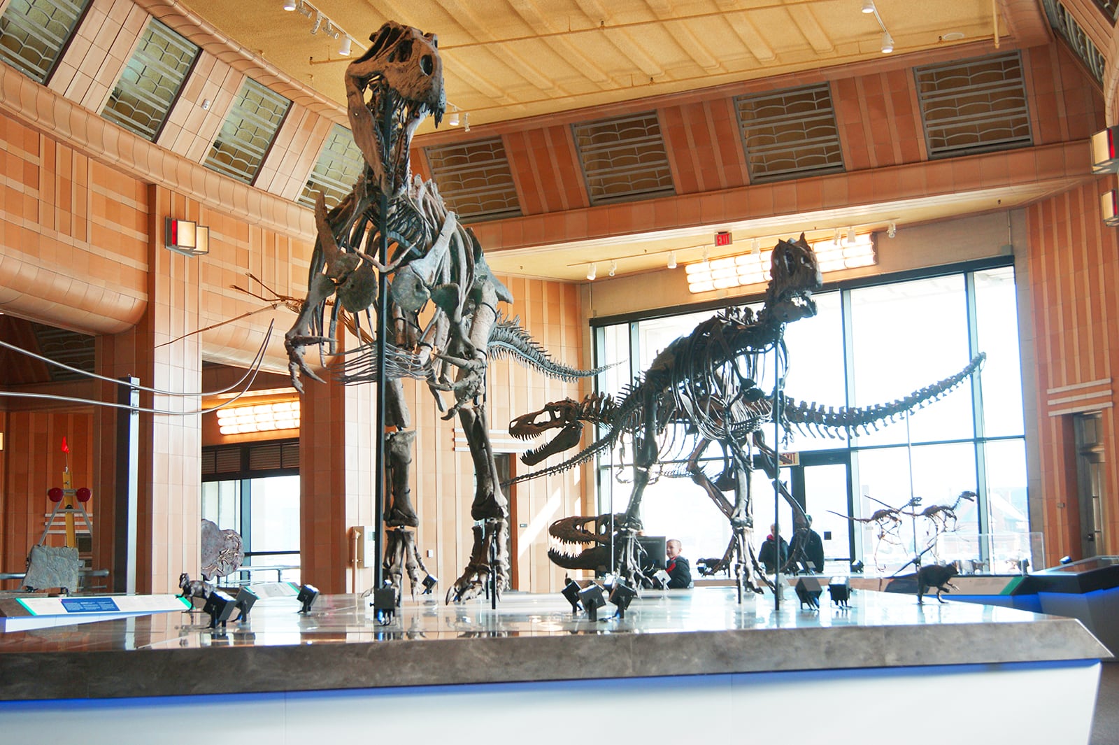 The Cincinnati Museum Center will reopen July 17. Dinosaur Hall is one of the exhibits popular among visitors. CINCINNATI MUSEUM CENTER