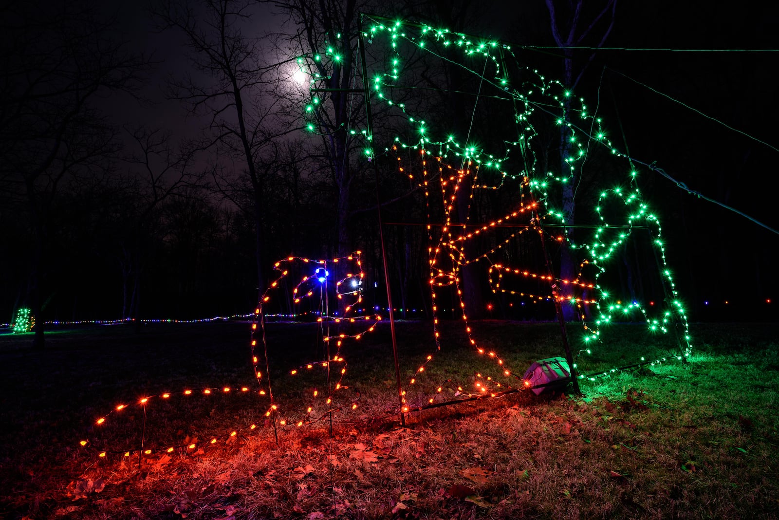 Fort St. Clair's Whispering Christmas light display is open through December from 6-10 p.m. every night with hot chocolate and cookies. A $5 donation per car is requested to help to cover the operation costs. Fort Saint Clair State Park is located at 135 Camden Road in Eaton. TOM GILLIAM/CONTRIBUTED