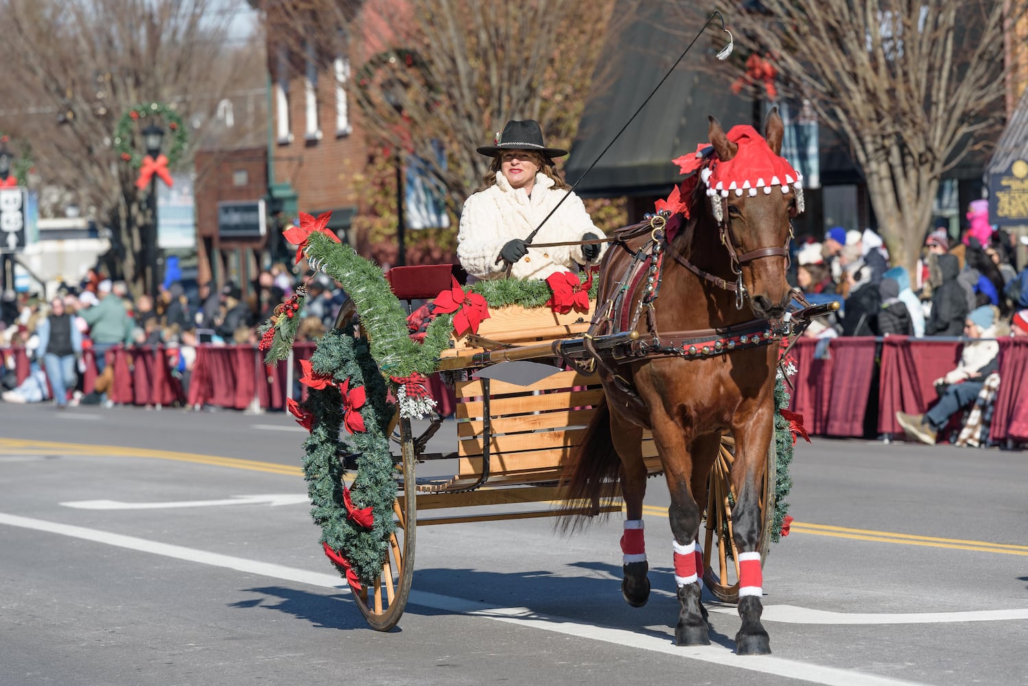 PHOTOS: 35th annual Lebanon Horse-Drawn Carriage Parade & Festival